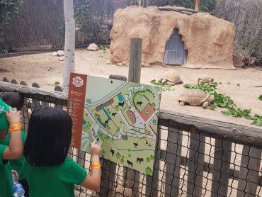Infantil va de excursión a Terra Natura