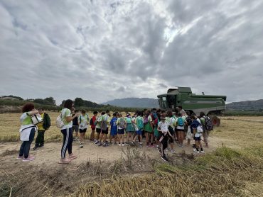 Salida senderista a la siega del arroz