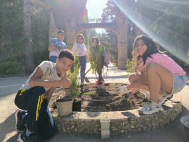 Plantas autóctonas para los jardines del Santuario